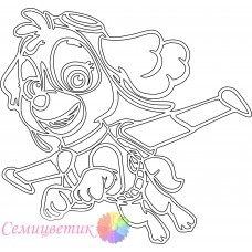 Скай